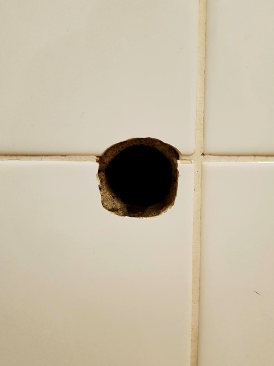 Projekt 5